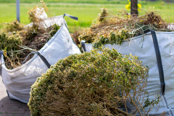 Best Same-Day Junk Removal Services  in Wonder Lake, IL